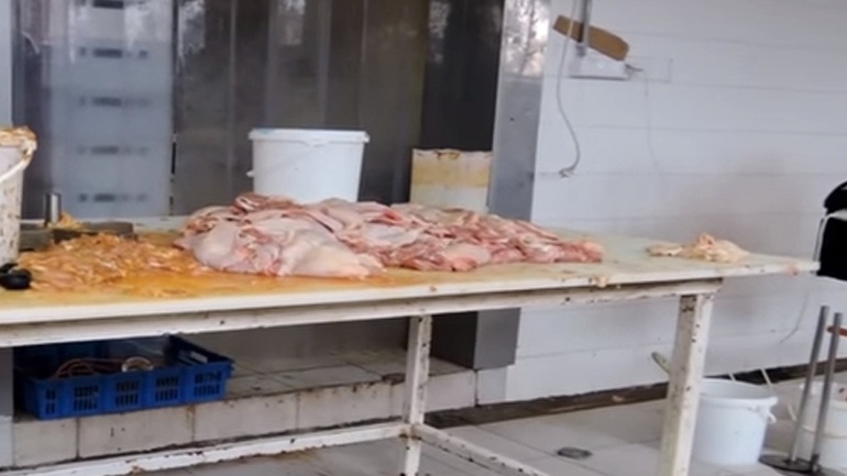 Πειραιάς: Κατασχέθηκαν 73 κιλά ακατάλληλου κρέατος - Media