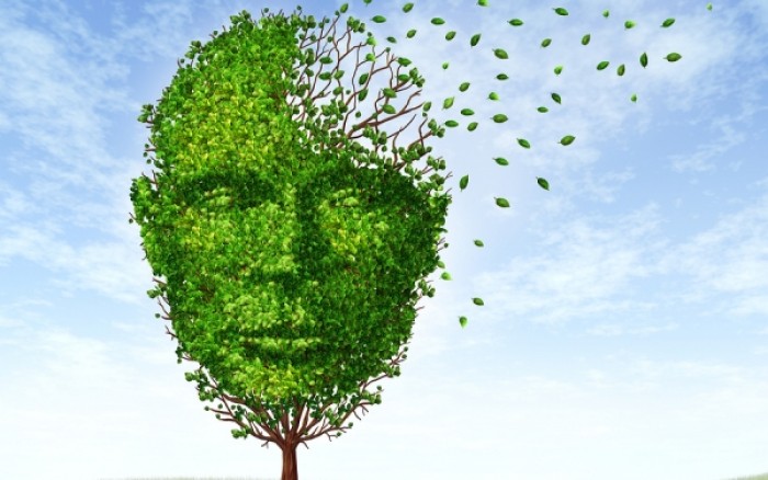 Tα 4 «ύπουλα» σημάδια του Αλτσχάιμερ - Media