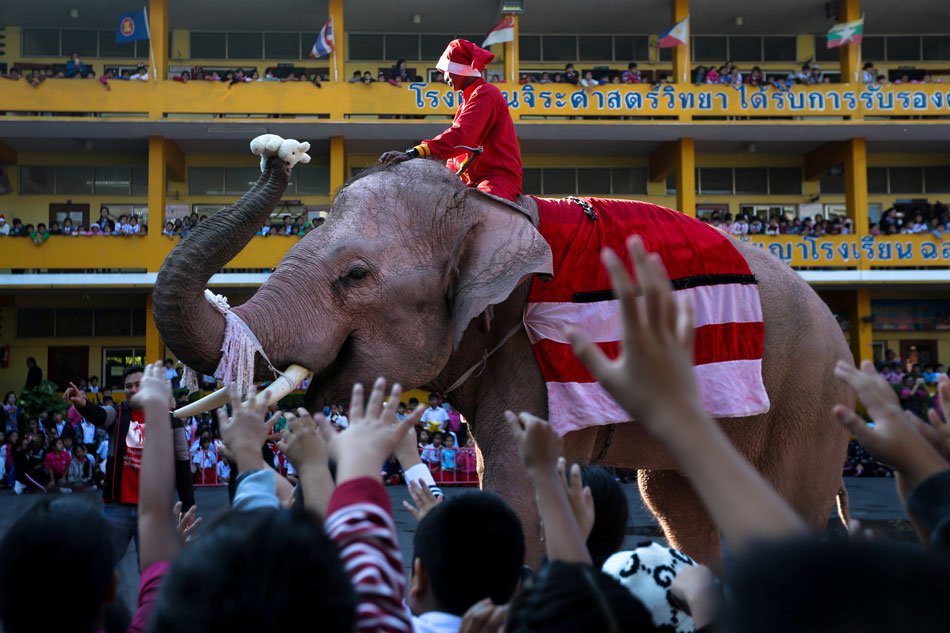 Ταϊλάνδη: Ο Αη Βασίλης ιππεύει ελέφαντα και μοιράζει δώρα σε μαθητές - Media
