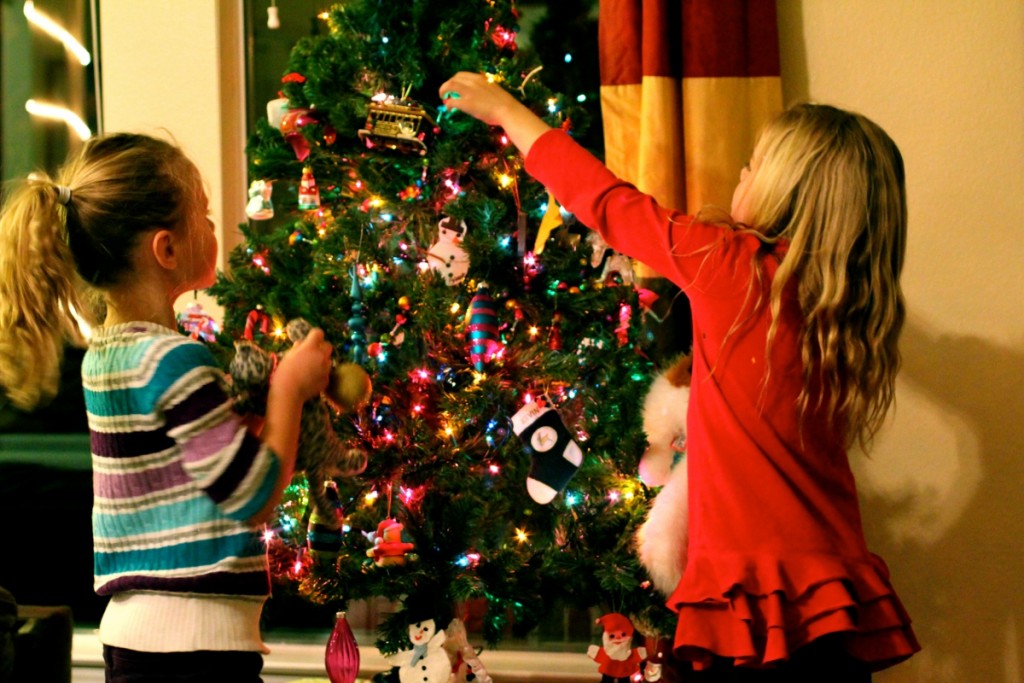 Στολίζεις το Χριστουγεννιάτικο δέντρο; Μάθε τι πρέπει να προσέχεις - Media