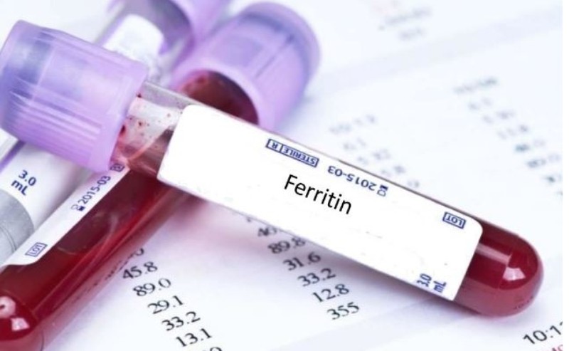 Φερριτίνη – Τιμές αναφοράς: Τι δείχνουν τα αυξημένα ή μειωμένα επίπεδα στο αίμα - Media