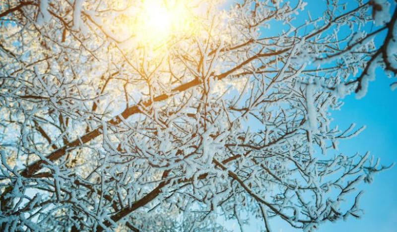 Ήλιος με… δόντια παραμονή Χριστουγέννων: Υποχωρεί ο χιονιάς - Media