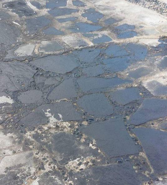 Ψάχνουν τον «ηλίθιο των Χριστουγέννων» (Photo) - Media