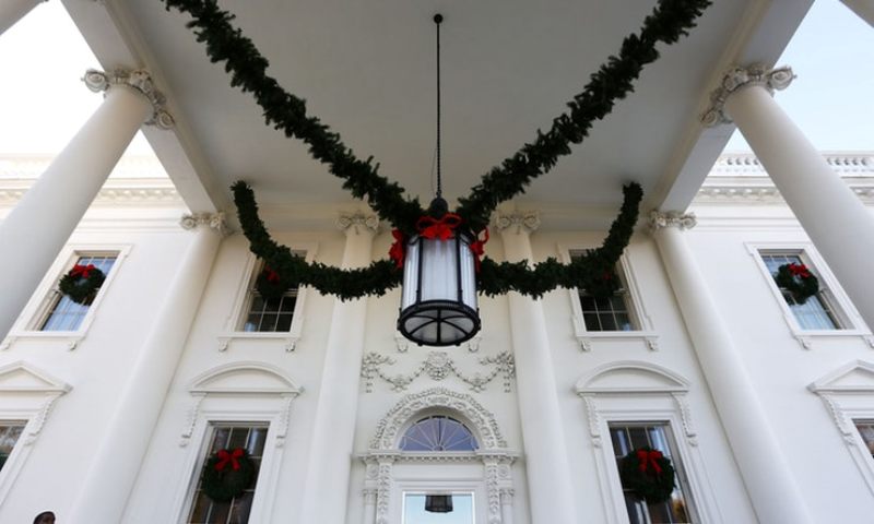 Επιβεβαιώθηκε: Αδίστακτες οι κατσαρίδες - Συγκατοικούν με τον Τραμπ στον Λευκό Οίκο (Video) - Media