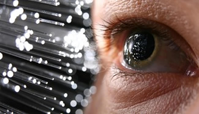 Σπουδαία ανακάλυψη: Βρέθηκε ίσως το αρχαιότερο μάτι, ηλικίας 530 εκατ. ετών (Photo) - Media