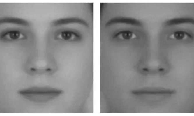 Έρευνα: Ποιο πρόσωπο είναι ο άνδρας και ποιο η γυναίκα; Η εικόνα που σάρωσε το διαδίκτυο (Photo)  - Media
