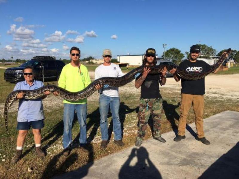 python_1