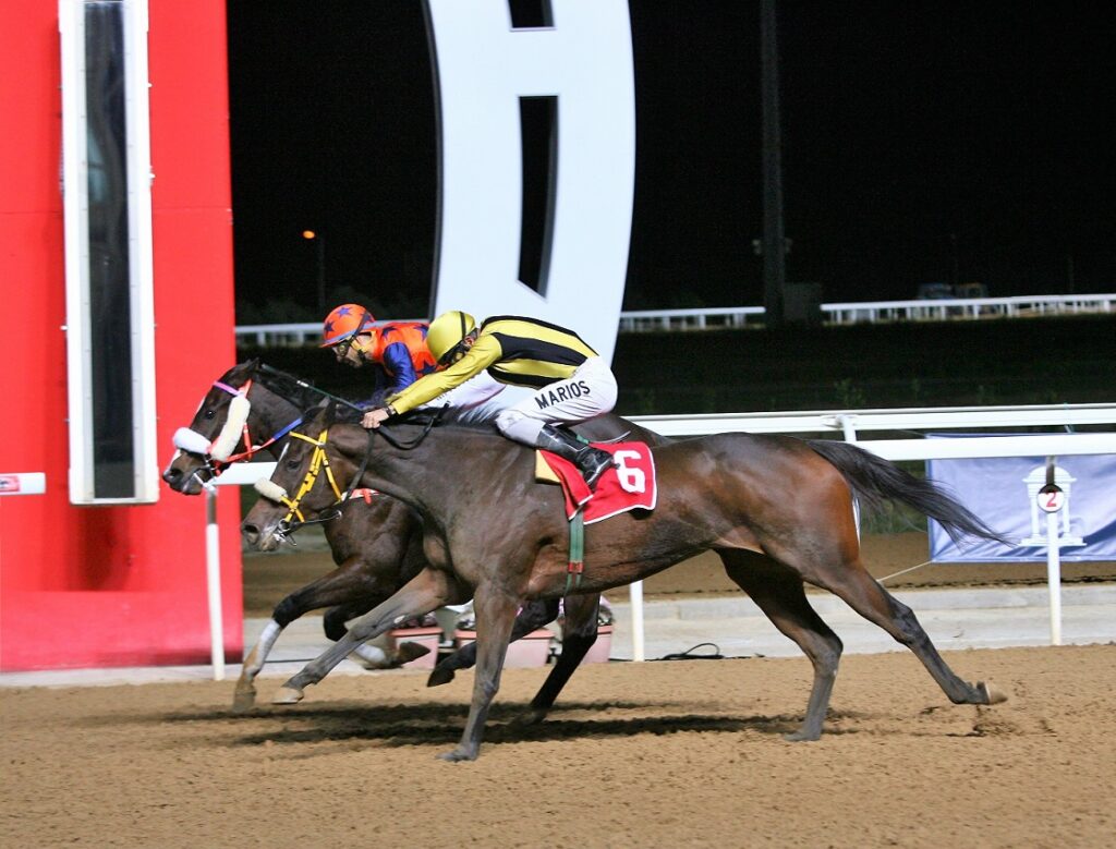 Έξι κούρσες με δυνατές «μάχες» στην τελευταία ιπποδρομιακή συγκέντρωση της χρονιάς - Media