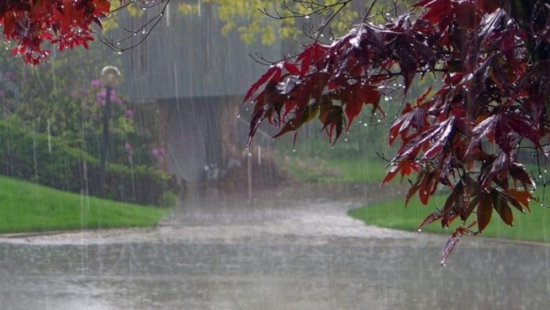 Χαλάει ο καιρός το Σαββατοκύριακο: Ισχυρές βροχές και καταιγίδες  - Media