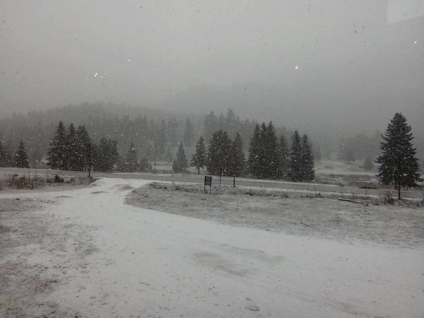 Στα «λευκά» τα ορεινά της δυτικής Θεσσαλίας - Media