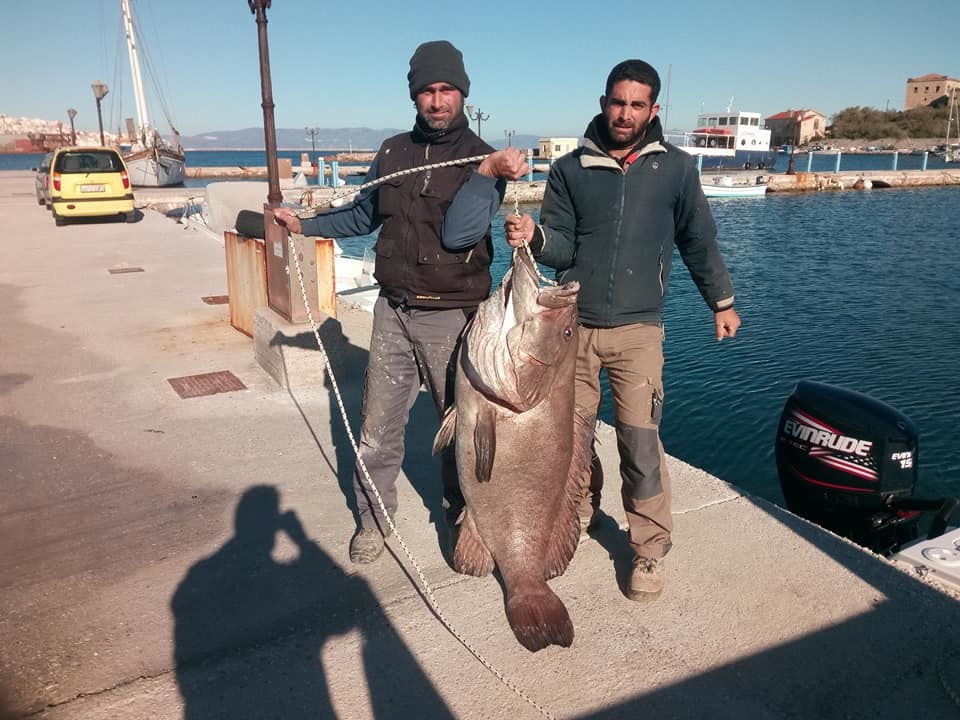 Η ψαριά της χρονιάς στην Σύρο – Έπιασε σφυρίδα 63 κιλών (Photo/Video) - Media