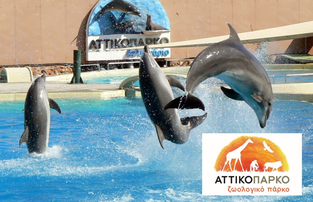 Μήνυση στο Αττικό Ζωολογικό Πάρκο για την παράσταση με τα δελφίνια (Video) - Media