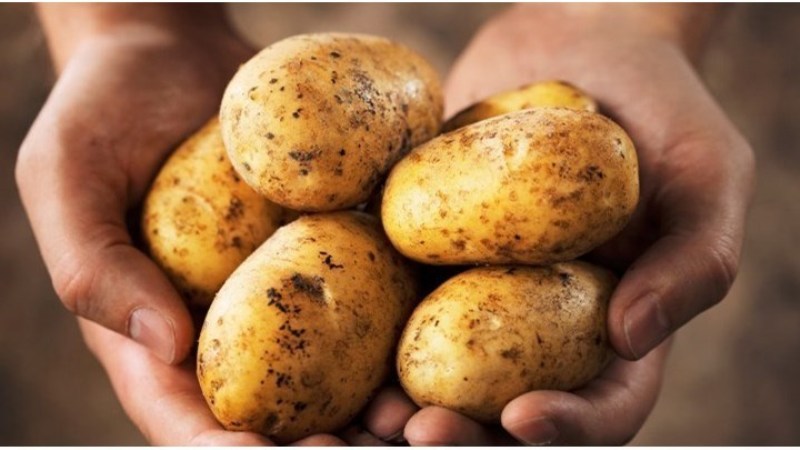 Πώς να καθαρίσετε ένα τσουβάλι πατάτες μέσα σε... 37 δευτερόλεπτα (Video) - Media