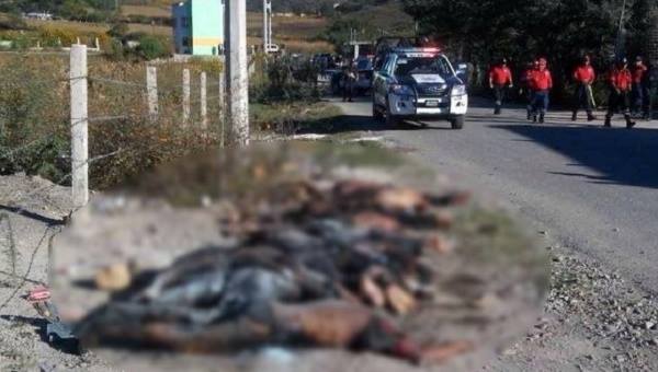 Μεξικό: Επτά ακρωτηριασμένα πτώματα βρέθηκαν πεταμένα σε αυτοκινητόδρομο - Media
