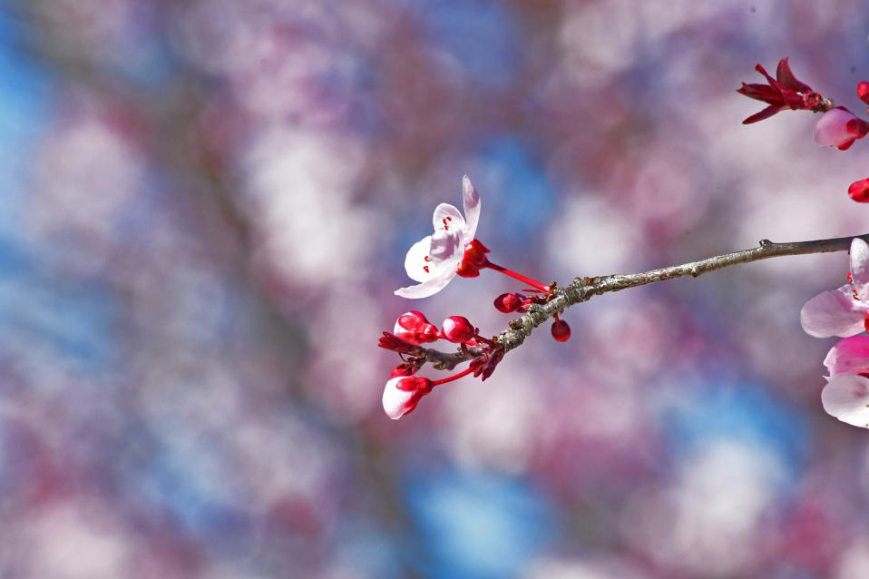 Αίθριος καιρός και άνοδος της θερμοκρασίας - Media
