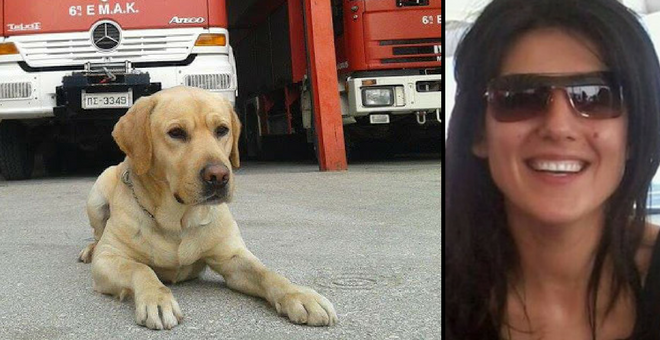 Mαξ: Ο σκύλος της ΕΜΑΚ που εντόπισε την 44χρονη Ειρήνη Λαγούδη (Video) - Media