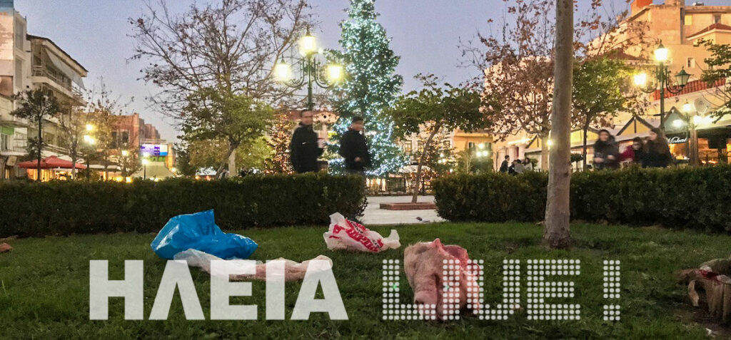 Πέταξαν γουρουνοκεφαλή έξω από το Δημαρχείο Πύργου - Media