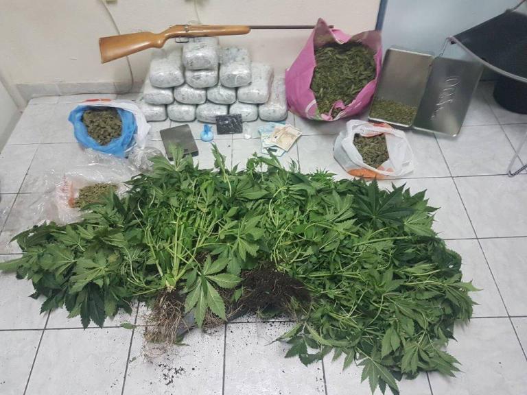 Συλλήψεις για 15 κιλά κάνναβης, δενδρύλλια και κοκαΐνη σε Χαλάνδρι και Γέρακα  - Media