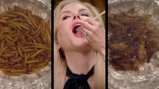 Νικόλ Κίντμαν: Τρώει ζωντανά σκουλήκια και ακρίδες και… ξετρελαίνεται! (Video) - Media