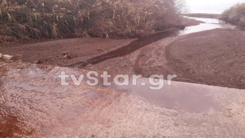 Φθιώτιδα: Ελαιοτριβείο μόλυνε ξηρά και θάλασσα – Συνελήφθη ο υπεύθυνος (Video) - Media