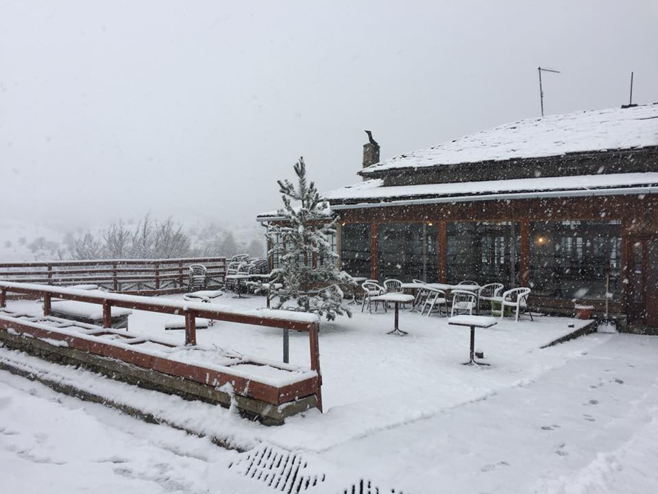 Η «Ιοκάστη» παγώνει τη χώρα - Πυκνό χιόνι σε Μέτσοβο, Τζουμέρκα και Τρίκαλα (Photos) - Media
