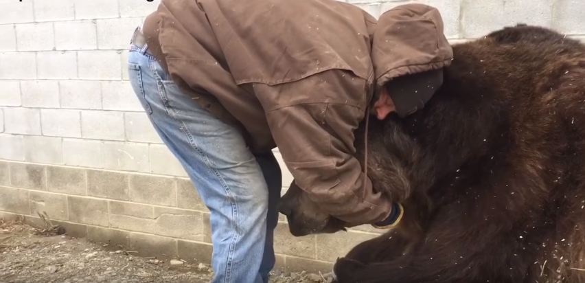 Όλοι χρειάζονται ένα απαλό χάδι μετά από μια δύσκολη μέρα – Η τρυφερή στιγμή που συγκίνησε το internet (Video) - Media