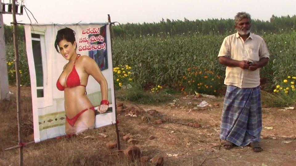 «Έπιασε»: Ινδός αγρότης έβαλε εικόνα πορνοστάρ για να μην του ματιάσουν τη σοδειά και αυτή θέριεψε (Photo) - Media