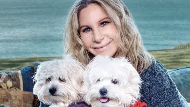 Η Μπάρμπαρα Στρέιζαντ κλωνοποίησε την αγαπημένη της σκυλίτσα - Media