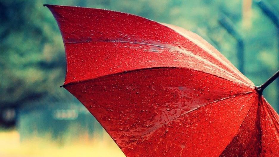 Καιρός: Βροχές, ομίχλες και νότιοι άνεμοι που θα φτάσουν τα 8 μποφόρ - Media