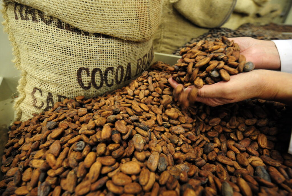 Ισημερινός: Είχαν κρύψει 1,5 τόνο κοκαΐνης σε συσκευασίες σοκολάτας - Media