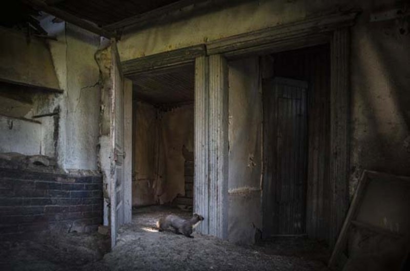 Μυστήριο σε εγκαταλελειμμένο σπίτι στις Σέρρες: Βρέθηκε πτώμα - Media