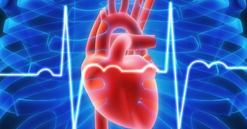 Τα 10 σημάδια που δείχνουν ότι κάτι δεν πάει καλά με την καρδιά μας - Media