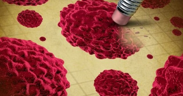 Καρκίνος: Πιο κοντά από ποτέ στην ίαση - Media