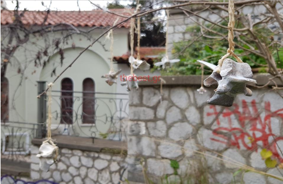 Κρεμασμένα κόκαλα με αίμα απέναντι από εκκλησία παραπέμπουν σε παγανιστική τελετή; (Photos) - Media