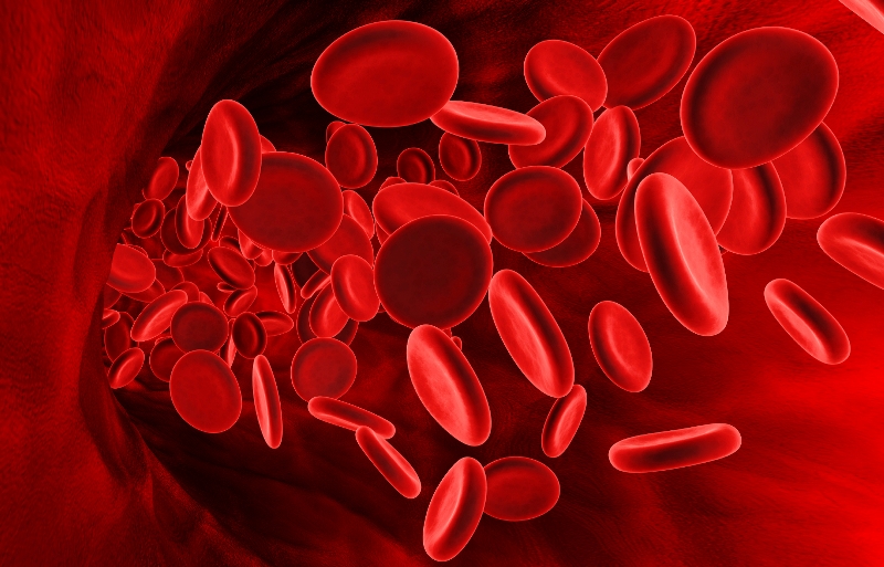 Προσοχή στα πεσμένα ερυθρά αιμοσφαίρια: Τι θα νιώσετε – Τι να φάτε για ν’ ανέβουν - Media