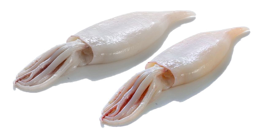 Πειραιάς: Δέσμευσαν 2,2 τόνους πλοκαμιών θράψαλων - Media