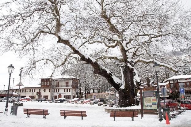 Κακοκαιρία και την Παρασκευή - Βροχές και χιόνια - Media
