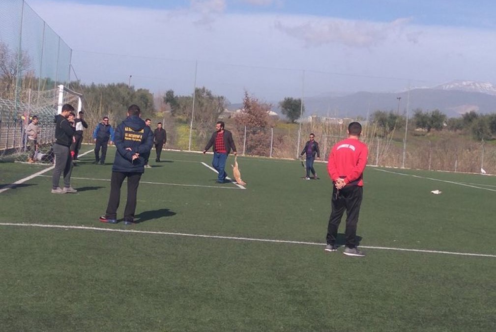 Κτηνωδία στην Αχαΐα: Πυροβόλησαν και σκότωσαν σκυλιά σε γήπεδο ποδοσφαίρου (Σκληρές Photos) - Media