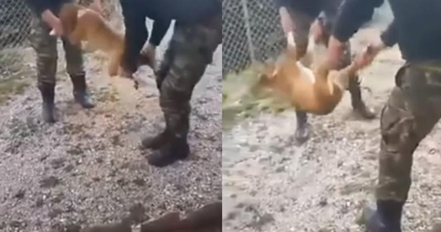 «Συγγνώμη» εκ των υστέρων ζητούν οι δυο ανεγκέφαλοι οπλίτες για τον βασανισμό σκύλου - Media