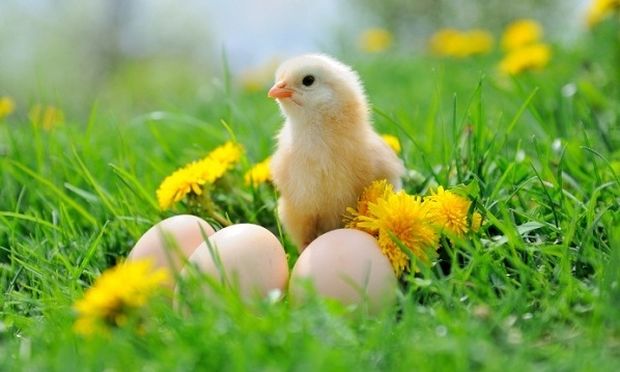 Τα Μερομήνια αποκαλύπτουν τι καιρό θα κάνει το Πάσχα - Media