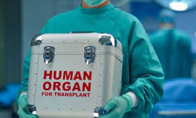 Κομοτηνή: 52χρονη έδωσε ζωή σε πέντε ανθρώπους - Media