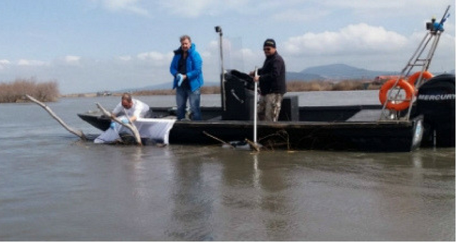 Θρίλερ στον Έβρο: Βρέθηκε πτώμα σε προχωρημένη σήψη (Σκληρές Photo) - Media