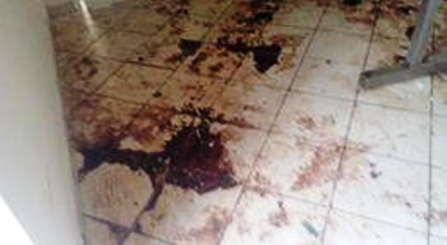 Απόλυτη κτηνωδία: Κτηνιατρείο-«κόλαση» βρέθηκε στην Κύπρο (Photo, Video) - Media