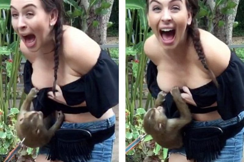 «Τα είδε όλα» το άτακτο πιθηκάκι – Τράβηξε την μπλούζα τουρίστριας και είχαμε αποκαλύψεις (Video) - Media