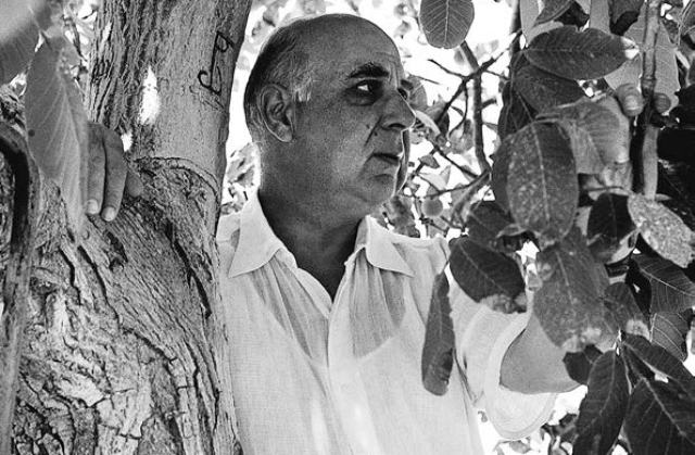 «Ο φωτογράφος Γιώργος Σεφέρης» στο Ομήρειο Πνευματικό Κέντρο Δήμου Χίου - Media