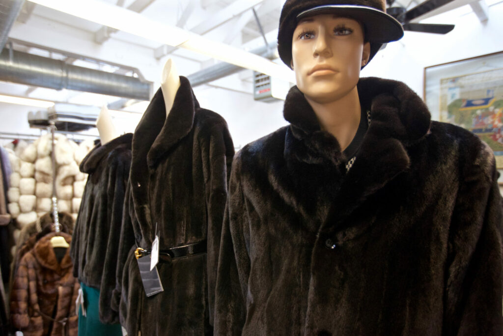 Στον Σαν Φρανσίσκο απαγορεύθηκε ομόφωνα η πώληση γούνινων ρούχων  - Media