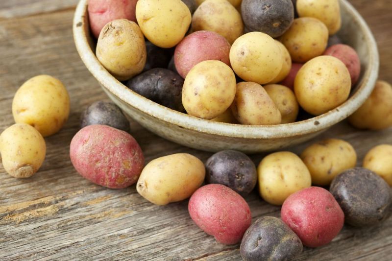 Καρκίνος του παχέος εντέρου: Πώς συνδέεται με τις… πατάτες που τρώτε - Media