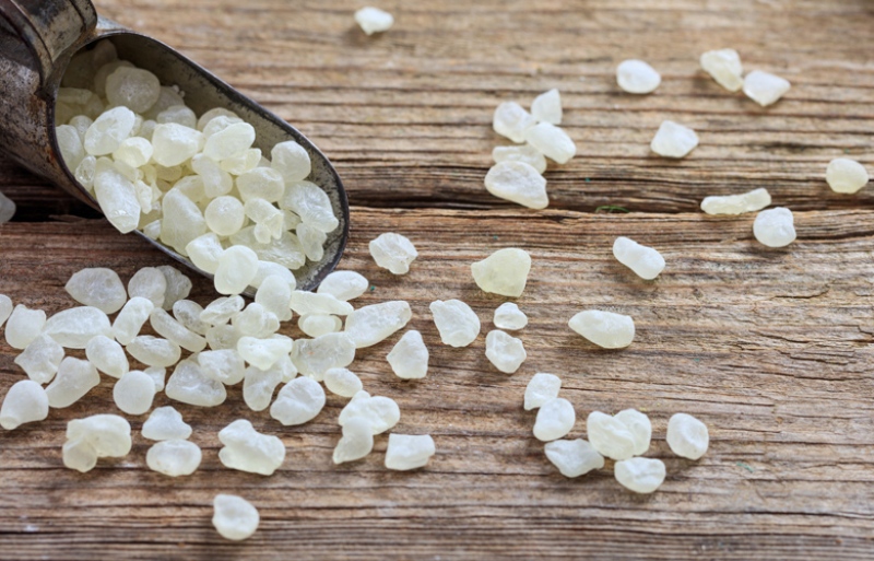 Μαστίχα Χίου: Πώς βοηθά στην καταπολέμηση τριγλυκεριδίων και λίπους στο συκώτι - Media