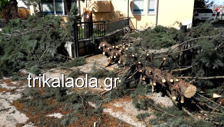 Σφοδρή ανεμοθύελλα έπληξε τα Τρίκαλα- Ξεριζώθηκαν δέντρα ξηλώθηκαν σκεπές (video-photos) - Media