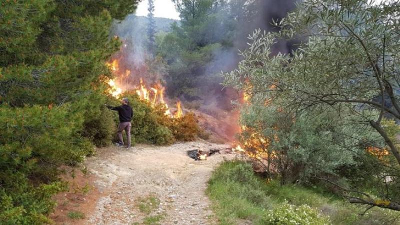 Πυροβολισμοί στο δάσος της Βαρυμπόμπης: Στις φλόγες ΙΧ - Media